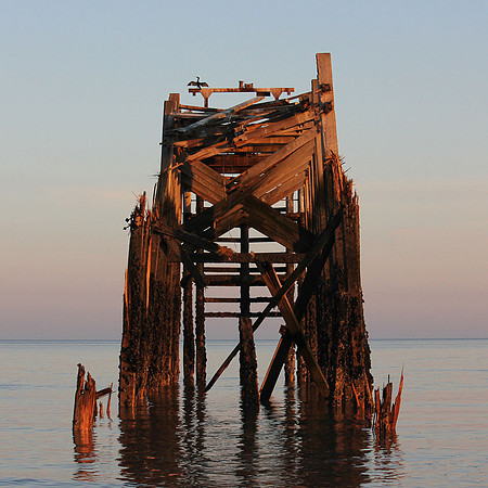 ©www.peterwilliamsphotography.com