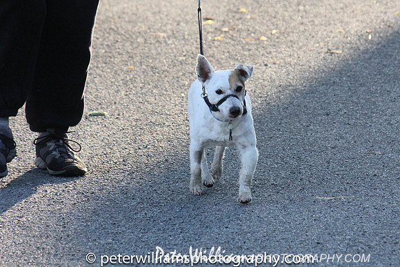 Peter Williams Photography-9907-2